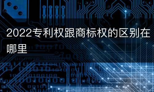 2022专利权跟商标权的区别在哪里