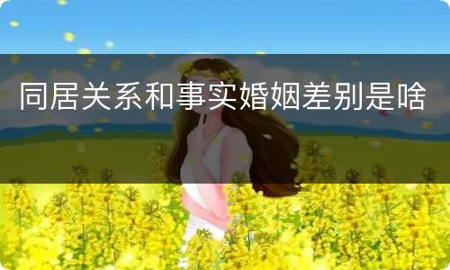 同居关系和事实婚姻差别是啥