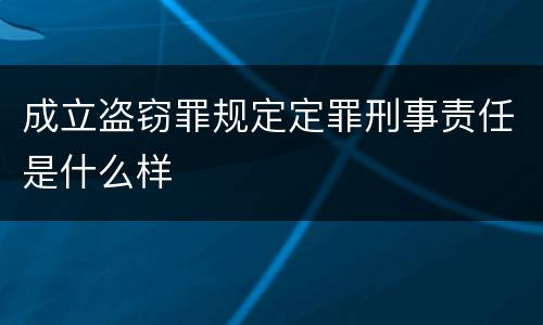 成立盗窃罪规定定罪刑事责任是什么样