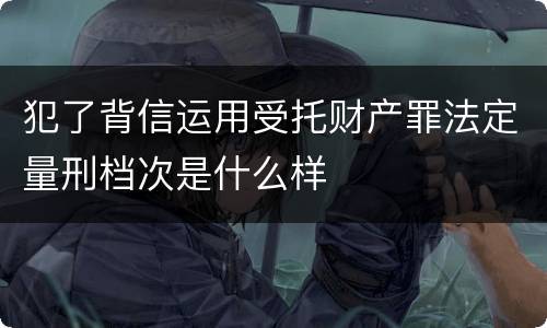 犯了背信运用受托财产罪法定量刑档次是什么样