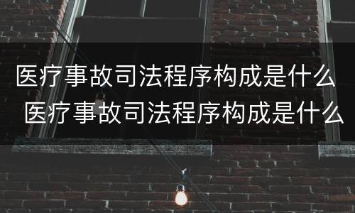 医疗事故司法程序构成是什么 医疗事故司法程序构成是什么意思