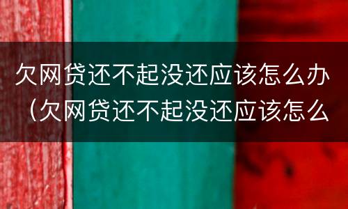 欠网贷还不起没还应该怎么办（欠网贷还不起没还应该怎么办理）