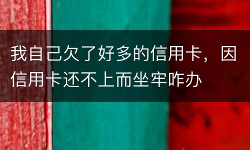 我自己欠了好多的信用卡，因信用卡还不上而坐牢咋办
