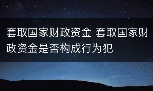 套取国家财政资金 套取国家财政资金是否构成行为犯