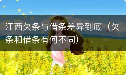 江西欠条与借条差异到底（欠条和借条有何不同）