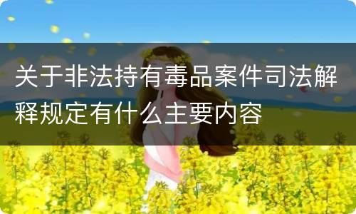 关于非法持有毒品案件司法解释规定有什么主要内容