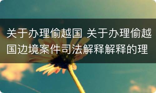 关于办理偷越国 关于办理偷越国边境案件司法解释解释的理解和适用