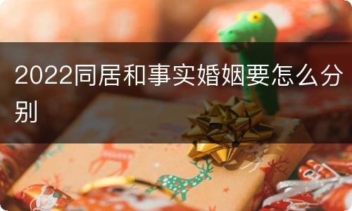 2022同居和事实婚姻要怎么分别