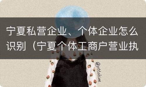 宁夏私营企业、个体企业怎么识别（宁夏个体工商户营业执照）