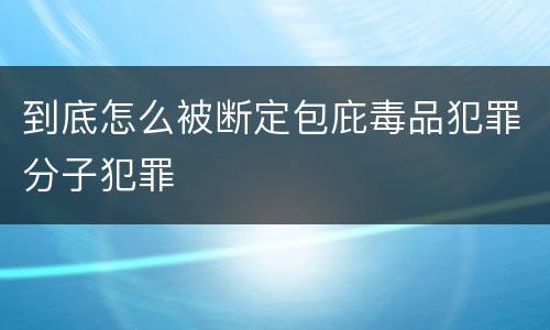 到底怎么被断定包庇毒品犯罪分子犯罪