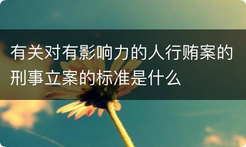 有关对有影响力的人行贿案的刑事立案的标准是什么