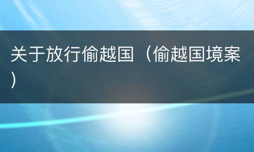 关于放行偷越国（偷越国境案）