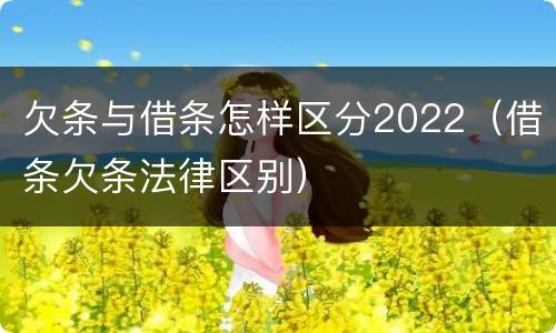 欠条与借条怎样区分2022（借条欠条法律区别）
