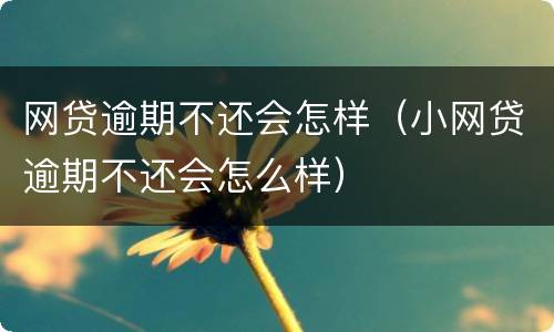 网贷逾期不还会怎样（小网贷逾期不还会怎么样）