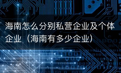 海南怎么分别私营企业及个体企业（海南有多少企业）