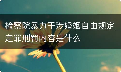 检察院暴力干涉婚姻自由规定定罪刑罚内容是什么