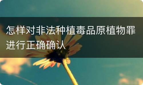 怎样对非法种植毒品原植物罪进行正确确认