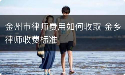 金州市律师费用如何收取 金乡律师收费标准