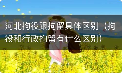 河北拘役跟拘留具体区别（拘役和行政拘留有什么区别）