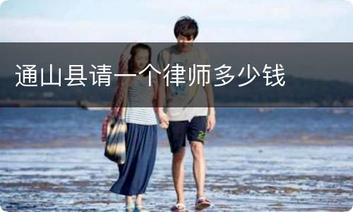 通山县请一个律师多少钱