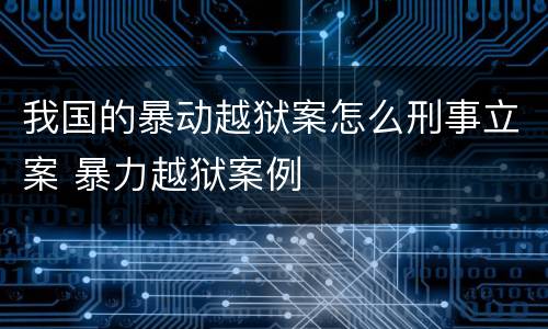 我国的暴动越狱案怎么刑事立案 暴力越狱案例
