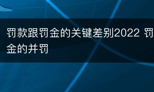 罚款跟罚金的关键差别2022 罚金的并罚