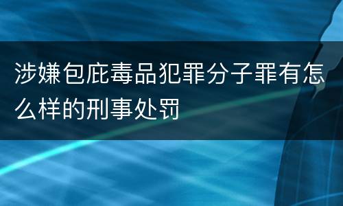 涉嫌包庇毒品犯罪分子罪有怎么样的刑事处罚