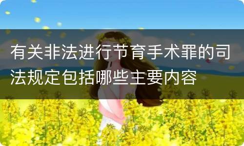 有关非法进行节育手术罪的司法规定包括哪些主要内容