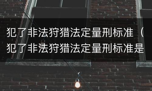 犯了非法狩猎法定量刑标准（犯了非法狩猎法定量刑标准是多少）