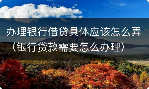 办理银行借贷具体应该怎么弄（银行贷款需要怎么办理）