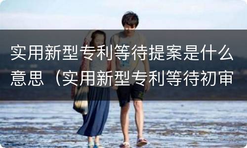 实用新型专利等待提案是什么意思（实用新型专利等待初审）