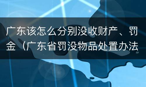 广东该怎么分别没收财产、罚金（广东省罚没物品处置办法）