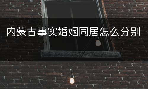 内蒙古事实婚姻同居怎么分别