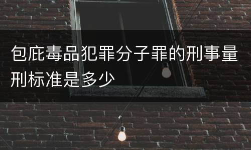 包庇毒品犯罪分子罪的刑事量刑标准是多少