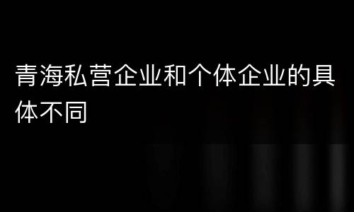 青海私营企业和个体企业的具体不同