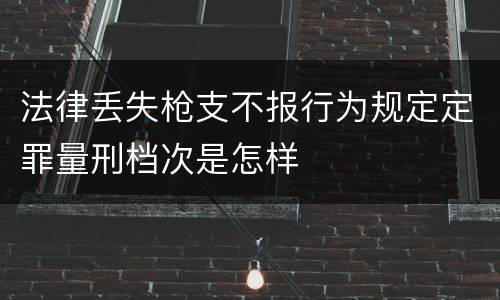 法律丢失枪支不报行为规定定罪量刑档次是怎样