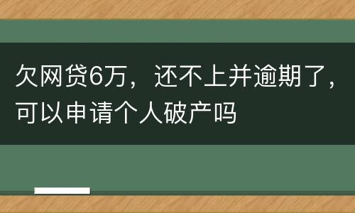 欠网贷6万，还不上并逾期了，可以申请个人破产吗