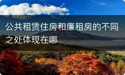 公共租赁住房和廉租房的不同之处体现在哪