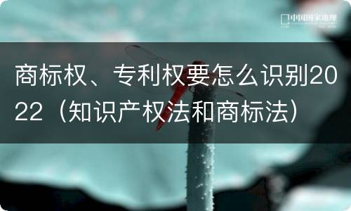 商标权、专利权要怎么识别2022（知识产权法和商标法）