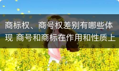 商标权、商号权差别有哪些体现 商号和商标在作用和性质上的区别