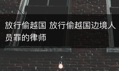 放行偷越国 放行偷越国边境人员罪的律师