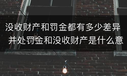 没收财产和罚金都有多少差异 并处罚金和没收财产是什么意思