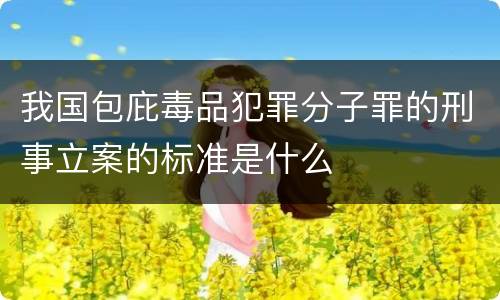 我国包庇毒品犯罪分子罪的刑事立案的标准是什么