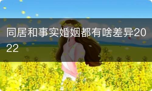 同居和事实婚姻都有啥差异2022