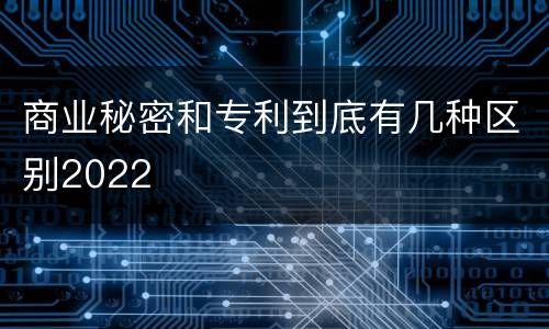 商业秘密和专利到底有几种区别2022
