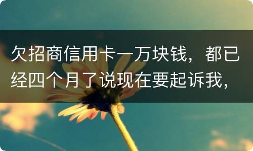 欠招商信用卡一万块钱，都已经四个月了说现在要起诉我，怎么办