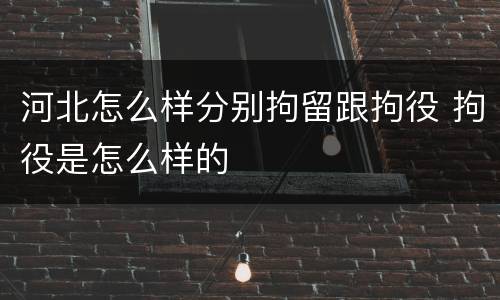 河北怎么样分别拘留跟拘役 拘役是怎么样的