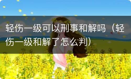 轻伤一级可以刑事和解吗（轻伤一级和解了怎么判）