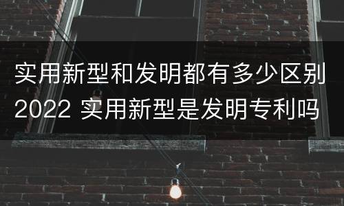 实用新型和发明都有多少区别2022 实用新型是发明专利吗