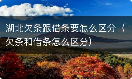 湖北欠条跟借条要怎么区分（欠条和借条怎么区分）